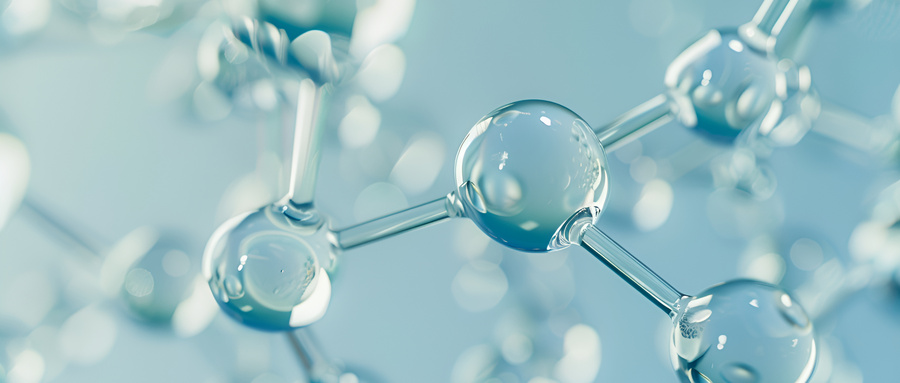 分子生物学服务